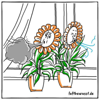 luftreinigende Pflanzen