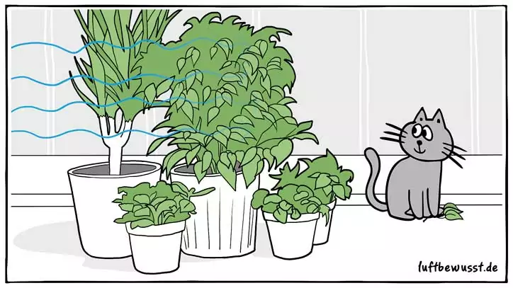 Pflanzen helfen gegen Elektrosmog