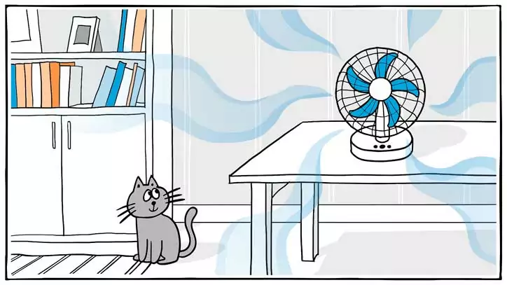 Tischventilatoren in Vergleich
