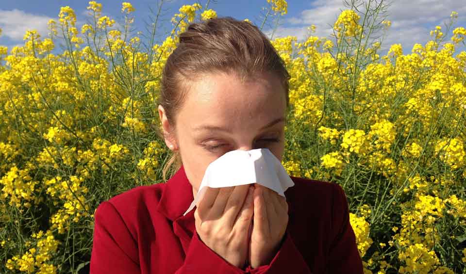 Frau mit Schnupfen wegen Pollen