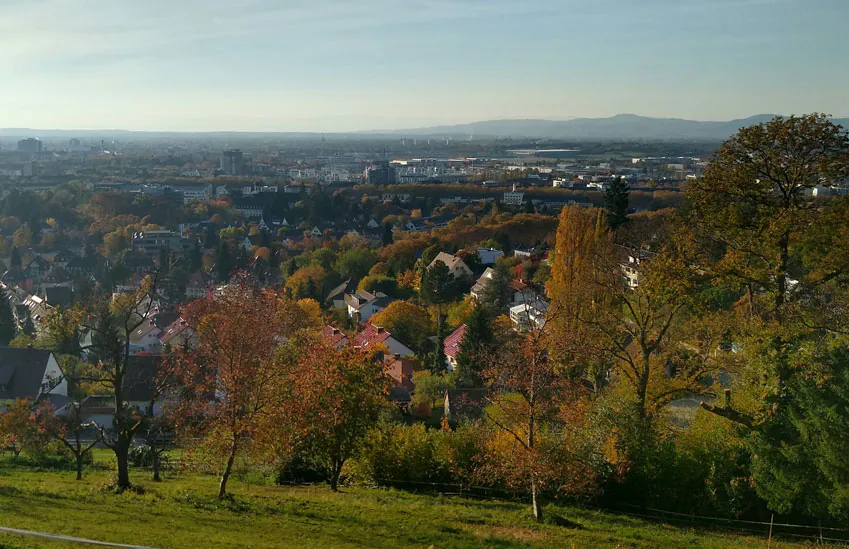 Durch frische Luft gesund durch die Erkältungszeit Herbstlicher Hang in Stadtnähe